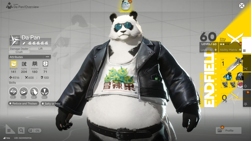 Arknights Endfield: Physical Damage Team Guide