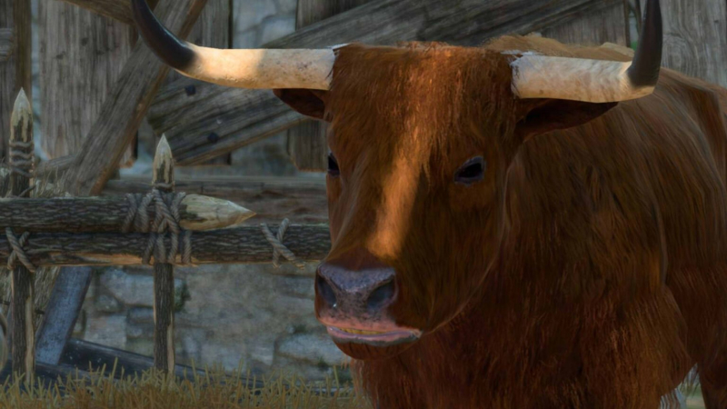Baldur’s Gate 3: What to Do With the Strange Ox