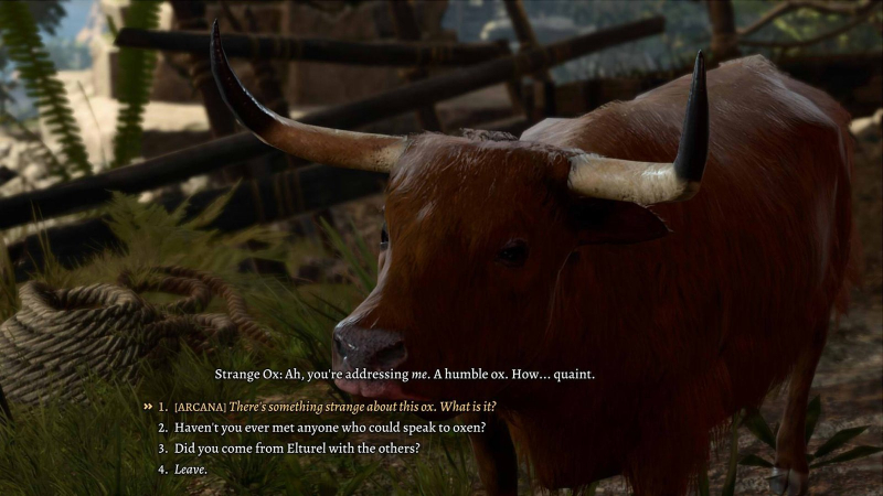 Baldur’s Gate 3: What to Do With the Strange Ox
