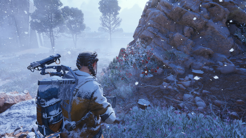 How to get Candleberries in Arc Raiders