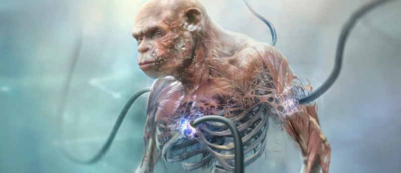 Инсайдер: Beyond Good & Evil 2 не пострадала от чисток в Ubisoft — в создание игры вложили уже 0 миллионов