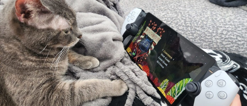 Слух: Sony готовит PlayStation Portal Pro с OLED-экраном и поддержкой 120 Гц