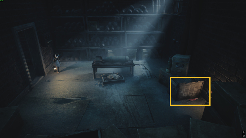 How I found and input the secret code in Reanimal for the Secret Bunker trophy