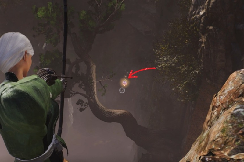 All Chijiko Locations – Nioh 3