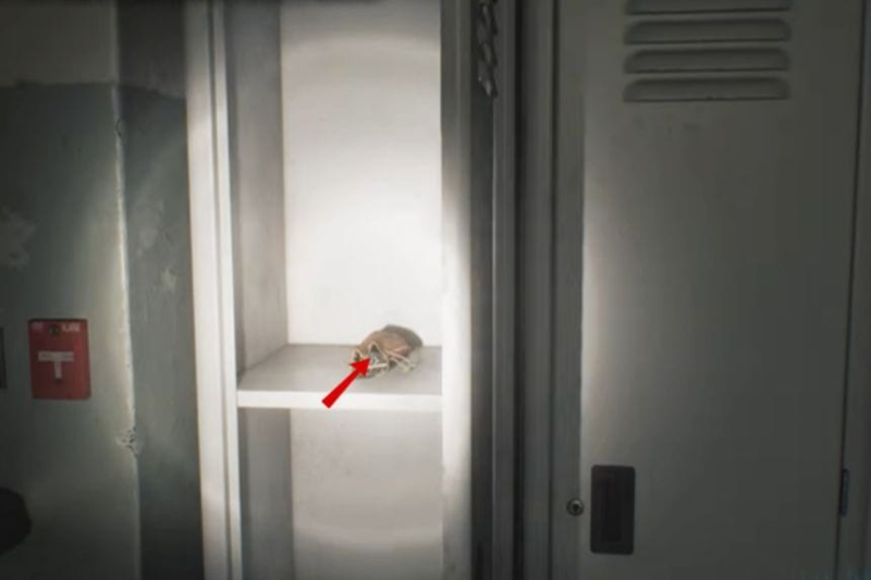 All Collectible Locations (Weapons, Files, Mr. Raccoons, Safes, Containers, and More) – Resident Evil Requiem