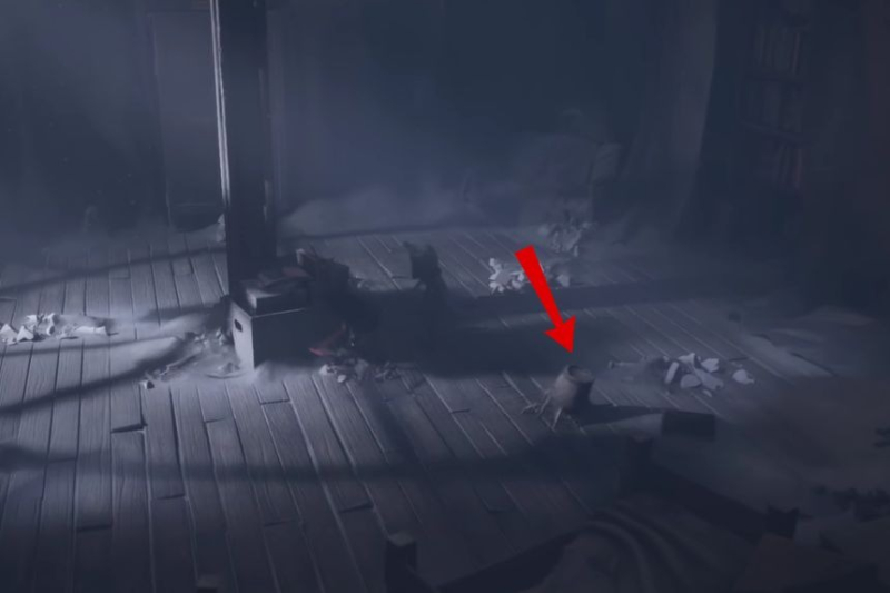 All Critters Locations – REANIMAL