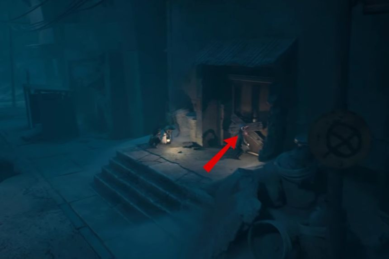 All Critters Locations – REANIMAL