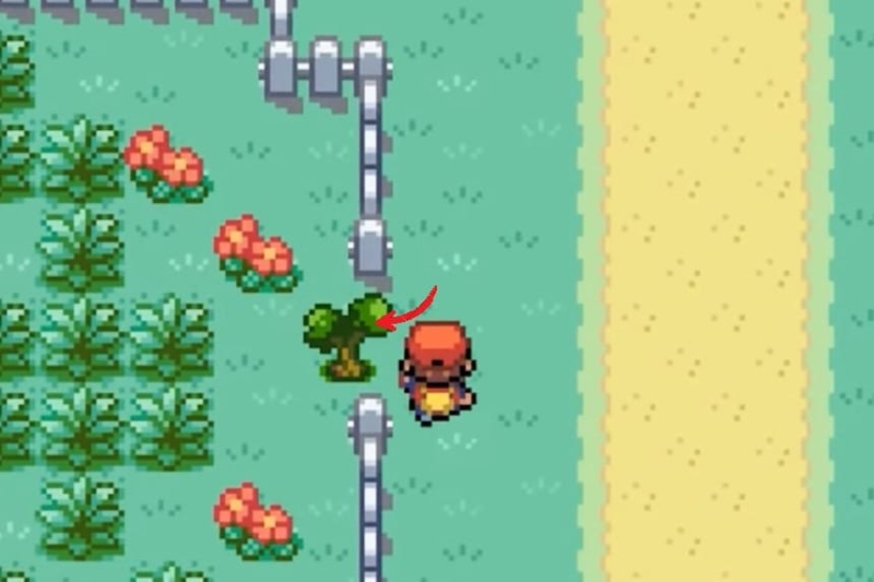 All Hidden Item Locations – Pokémon FireRed & LeafGreen (FRLG)