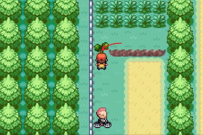 All Hidden Item Locations – Pokémon FireRed & LeafGreen (FRLG)