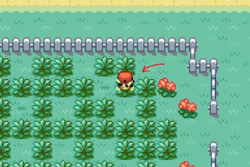 All Hidden Item Locations – Pokémon FireRed & LeafGreen (FRLG)