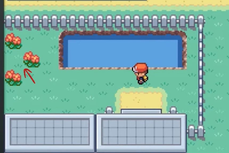 All Hidden Item Locations – Pokémon FireRed & LeafGreen (FRLG)