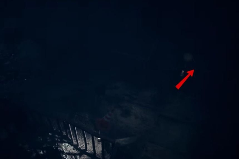 All Hidden Statue Locations – REANIMAL