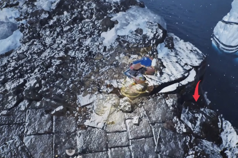 All Kodama Locations in Nioh 3