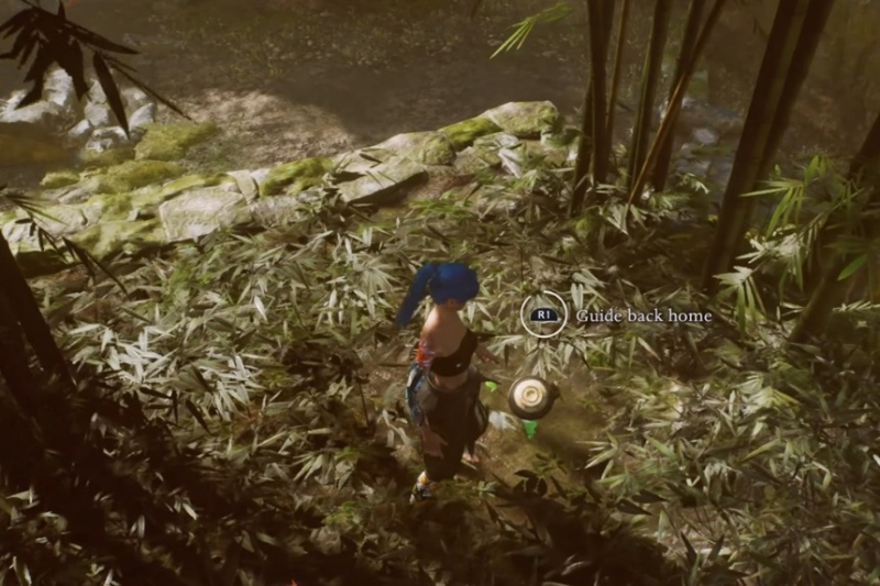 All Kodama Locations in Nioh 3