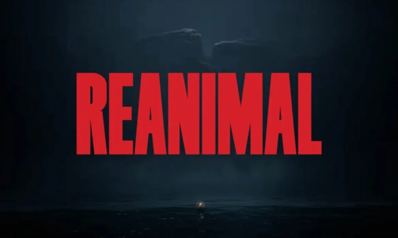All Mask Locations – REANIMAL