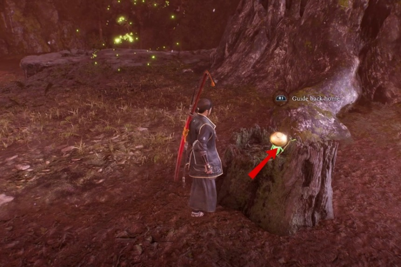 All Tokaido Collectables (Samurai’s Locks, Kodama, Hot Springs, Jizo, Scampuss, Secret Skills) – Nioh 3