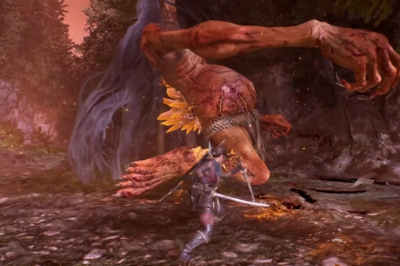 All Tokaido Collectables (Samurai’s Locks, Kodama, Hot Springs, Jizo, Scampuss, Secret Skills) – Nioh 3