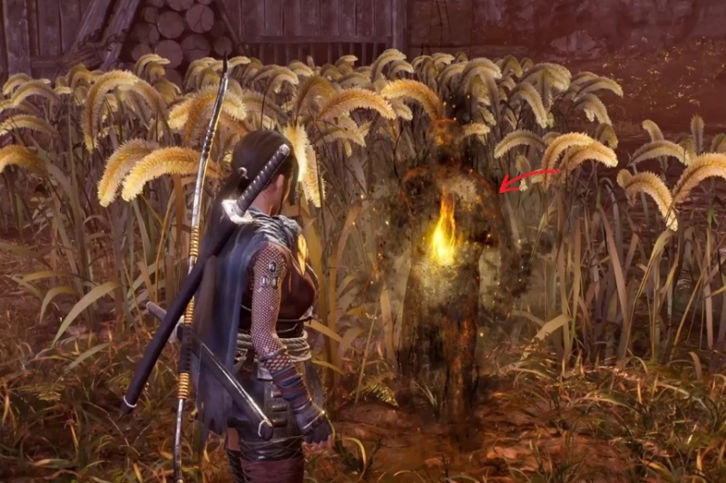 All Tokaido Collectables (Samurai’s Locks, Kodama, Hot Springs, Jizo, Scampuss, Secret Skills) – Nioh 3