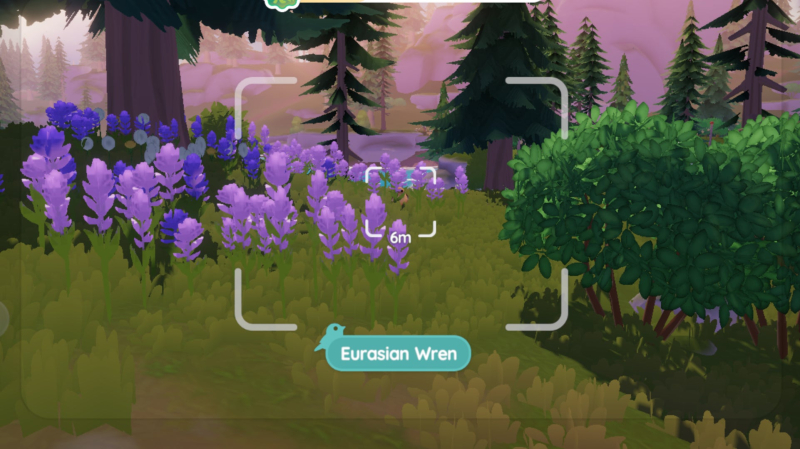 Heartopia Bird locations