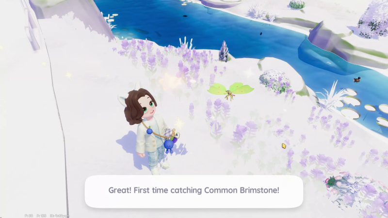 Heartopia Bug locations