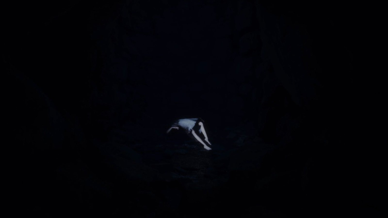 REANIMAL – Story & Ending Explained