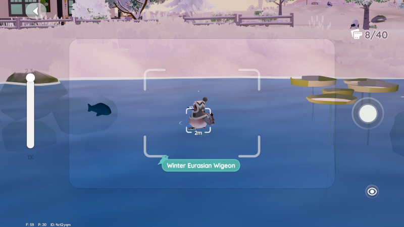 Where to find Winter Birds in Heartopia