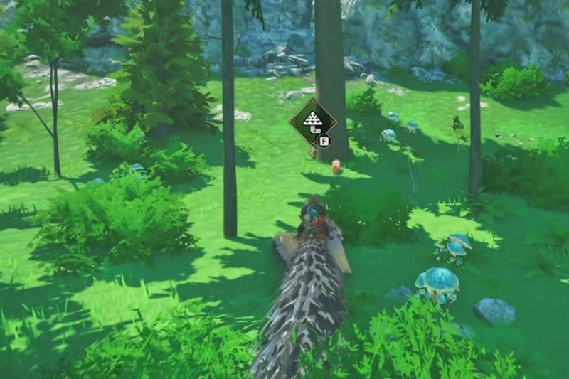 All Azuria Poogie Locations – Monster Hunter Stories 3: Twisted Reflection