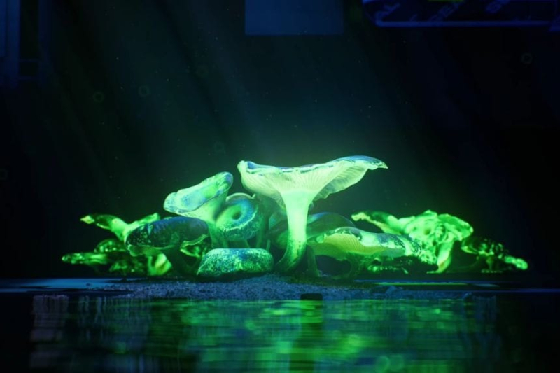 Marathon Core Storage Guide: How to Find and Loot Core Storage Containers