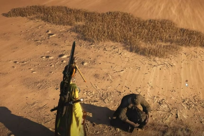 The Camel’s Call Quest Guide: Where Winds Meet