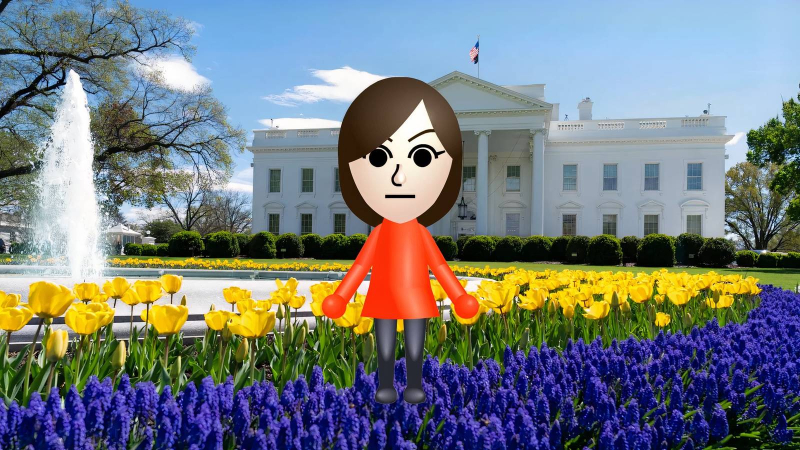 White House Uses Nintendo Wii Gameplay to Share Unclassified Military Footage